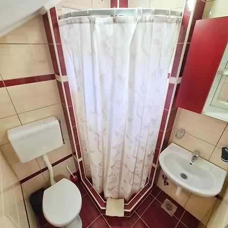 Aleksandra 2 16 * Soko Banja